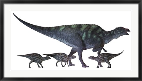 Framed Maiasaura dinosaur with offspring Print