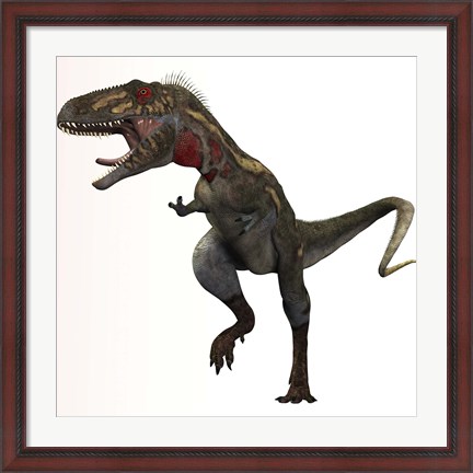 Framed Nanotyrannus dinosaur Print