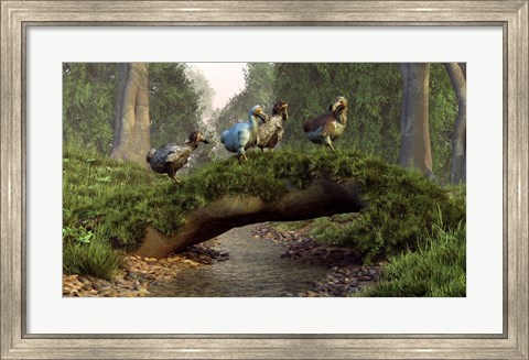 Framed group of Dodo birds crossing a natural bridge over a stream Print