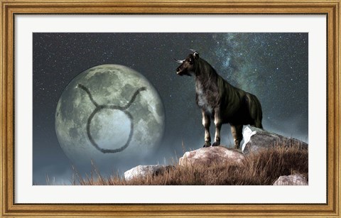 Framed Taurus is the second astrological sign of the Zodiac Print