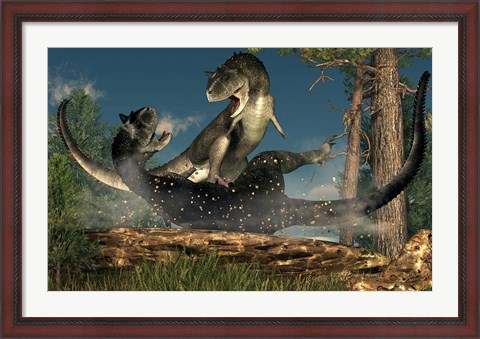Framed couple of Carnotaurus dinosaurs fighting Print