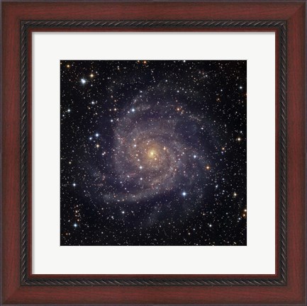 Framed IC 342, an intermediate spiral galaxy in the constellation Camelopardalis Print