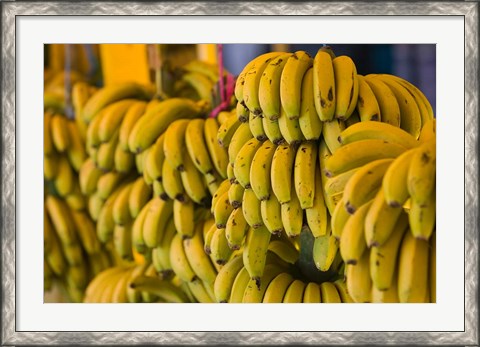 Framed MOROCCO, Atlantic Coast, TAMRI, Market bananas Print