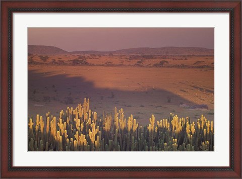 Framed Landscape View, Serengeti National Park, Tanzania Print