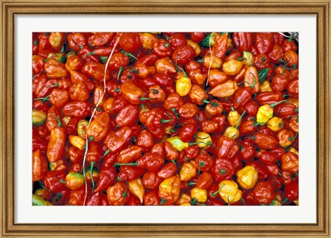 Framed Hot Red Pepper at the Local Market, Madagascar Print