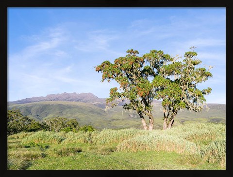 Framed Mount Kenya NP, Site in the highlands of central Kenya, Africa. UNESCO Print