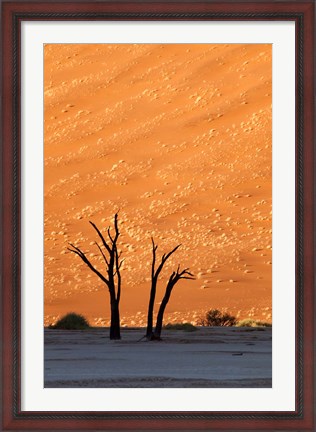 Framed Namibia, Namib-Naukluft, Sossusvlei Desert, Dead Vlei Print