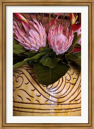 Framed Queen Protea and Heliconia, Umhlanga Rocks, Durban, Kwazulu Natal, South Africa Print