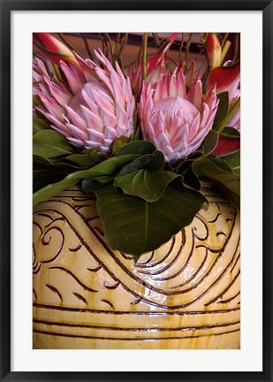 Framed Queen Protea and Heliconia, Umhlanga Rocks, Durban, Kwazulu Natal, South Africa Print
