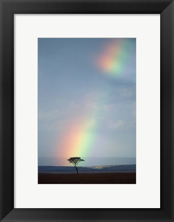 Framed Rainbow Forms Amid Rain Clouds, Masai Mara Game Reserve, Kenya Print