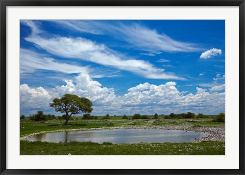 Framed Okaukuejo waterhole, Etosha National Park, Namibia Print