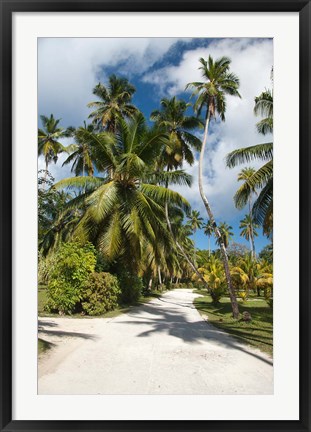 Framed Seychelles, La Digue, Palm lined country path Print