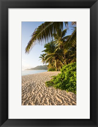 Framed Seychelles, Mahe Island, Anse Marie-Louise, dawn Print