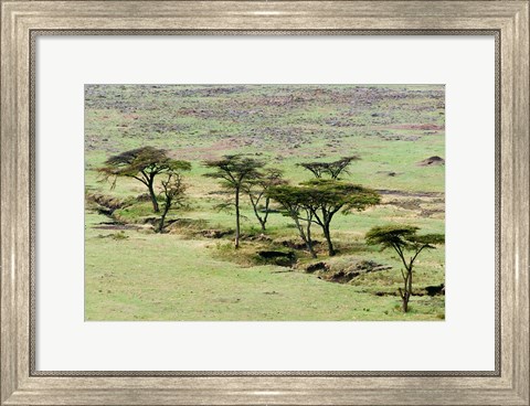 Framed Bush, Maasai Mara National Reserve, Kenya Print