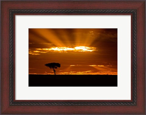 Framed Sunrise, Maasai Mara, Kenya Print