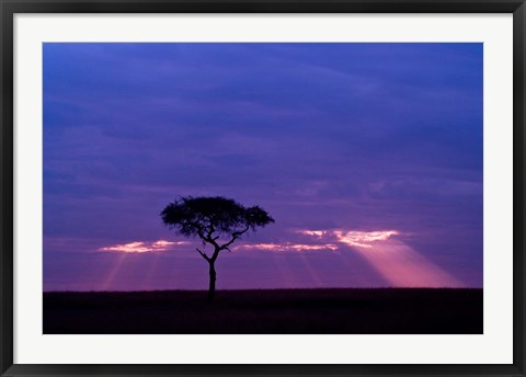 Framed Blue skies, Maasai Mara, Kenya Print