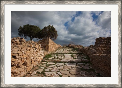Framed Tunisia, Carthage, Roman Villas, Ancient Architecture Print