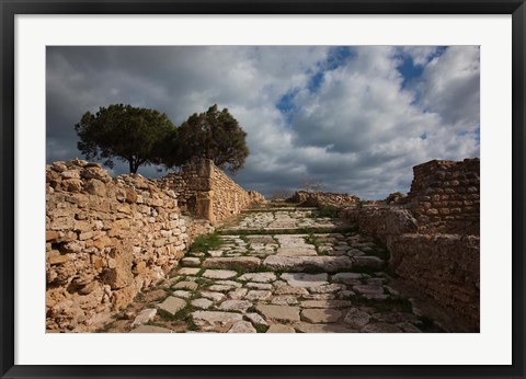 Framed Tunisia, Carthage, Roman Villas, Ancient Architecture Print