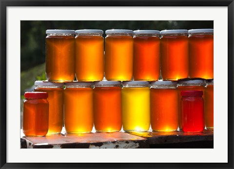 Framed Tunisia, Nefza, local honey, agriculture Print