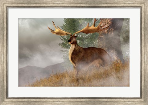 Framed Irish Elk stands in deep grass on a foggy hillside Print