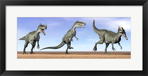 Framed Three Monolophosaurus dinosaurs standing in the desert Print
