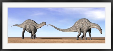 Framed Two Dicraeosaurus dinosaurs walking in the desert Print