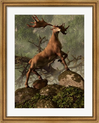 Framed Irish Elk stands proudly in a dense forest Print