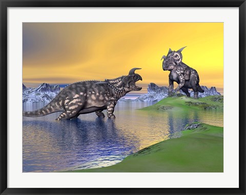 Framed Confrontation between two Einiosaurus dinosaurs Print
