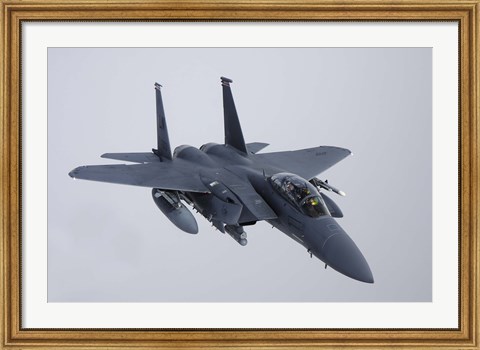 Framed F-15E Strike Eagle of the US Air Force Print