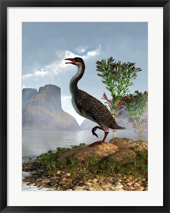 Framed Hesperornis on the shore of a lake looking around Print
