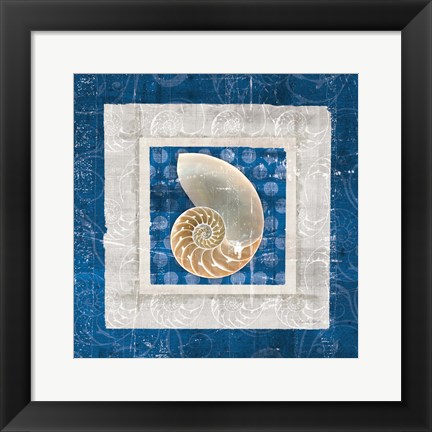 Framed Sea Shell II on Blue Print