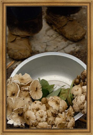 Framed Wild Mushrooms For Sale, Honghe Prefecture, Yunnan Province, China Print