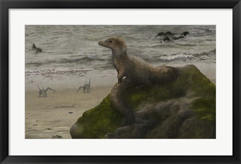 Framed Sciurumimus, a possible baby megalosaurid theropod Print