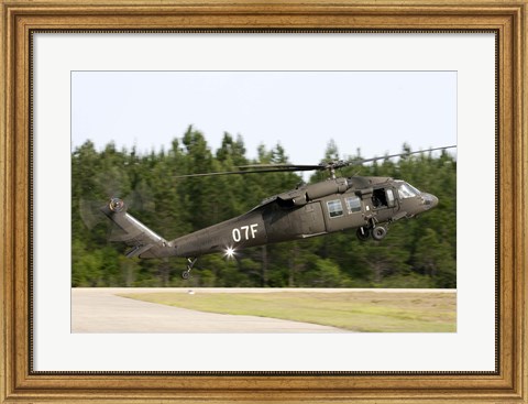 Framed US Army UH-60L Blackhawk helicopter landing at Florida Airport Print