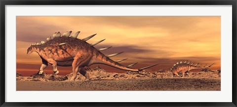 Framed Kentrosaurus mother and baby walking in the desert by sunset Print