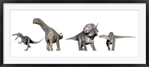 Framed Left to Right: Suchomimus, Argentinosaurus, Zuniceratops, Dicraeosaurus Print