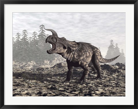 Framed Einiosaurus dinosaur roaring in nature Print
