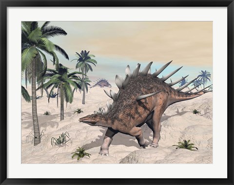 Framed Kentrosaurus dinosaurs walking in the desert among palm trees Print