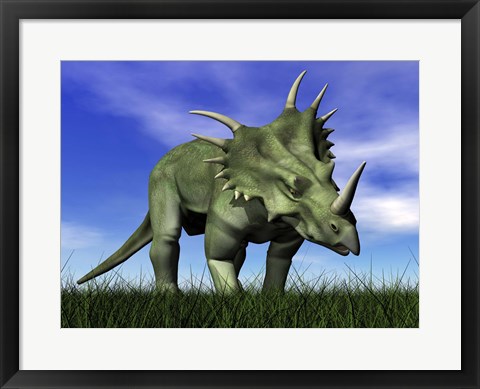 Framed Styracosaurus dinosaur walking in the grass Print