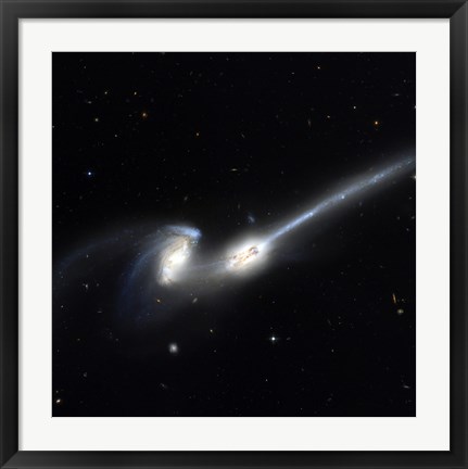 Framed Mice Galaxies Print