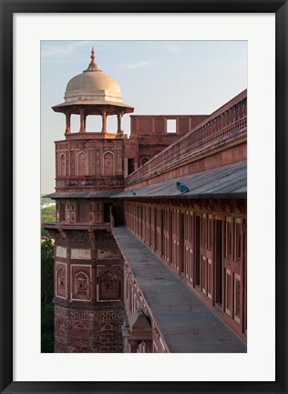 Framed Two pigeons sit on the roof&#39;s ledge, Agra fort, India Print