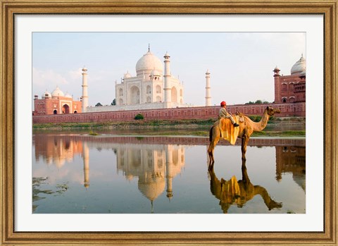 Framed Young Boy on Camel, Taj Mahal Temple Burial Site at Sunset, Agra, India Print