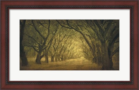Framed Evergreen, New Alley, Right Side Print