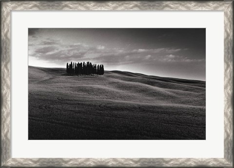 Framed Cypresses and Rolling Hills Print