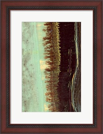 Framed Lichen II Print