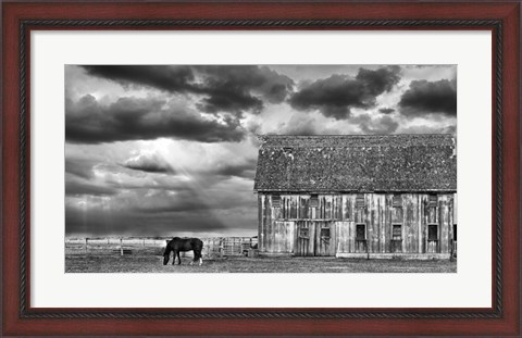 Framed Horse and Barn Print
