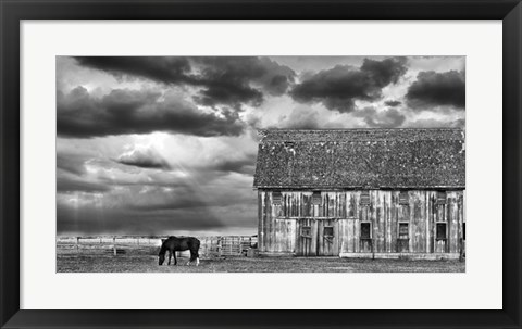 Framed Horse and Barn Print