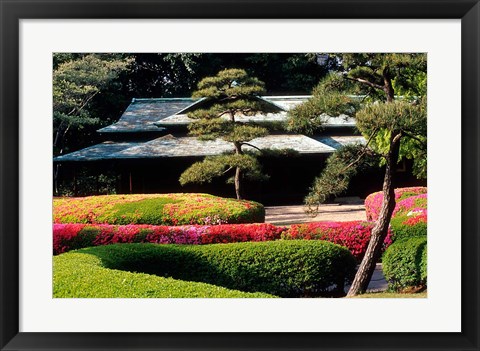 Framed Azaleas at the Imperial Palace East Gardens, Tokyo, Japan Print