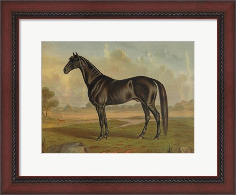 Framed America&#39;s Renowned Stallions, c. 1876 II Print