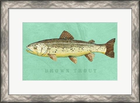 Framed Brown Trout Print